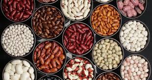 Fasola: niedoceniany produkt codziennego menu